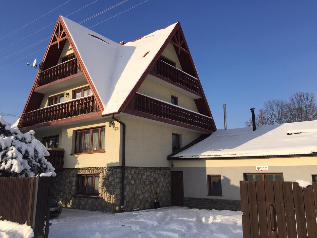 Witów Apartamenty Geiger מראה חיצוני תמונה