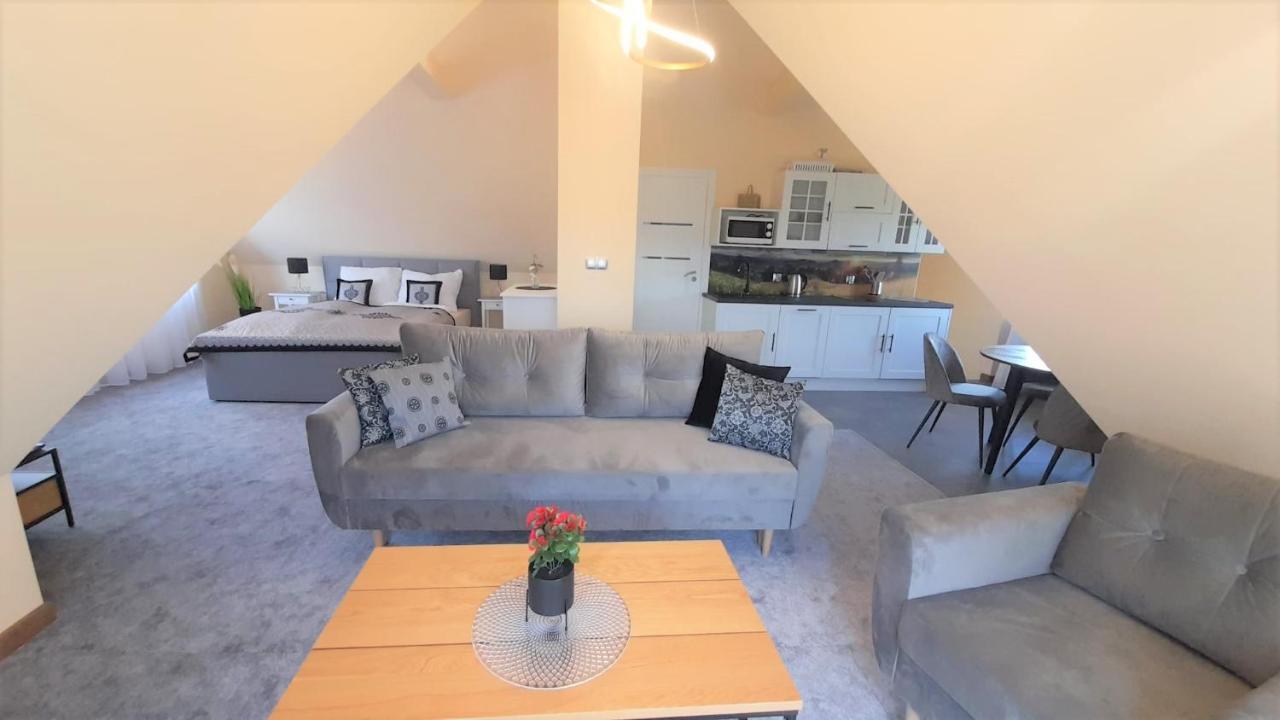 Witów Apartamenty Geiger מראה חיצוני תמונה